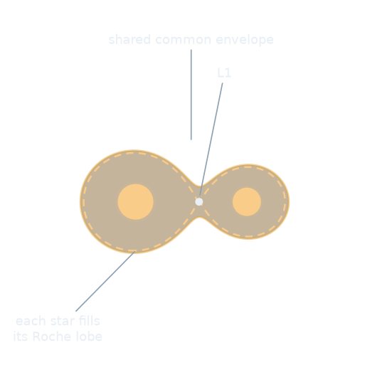 Roche lobes and a shared envelope