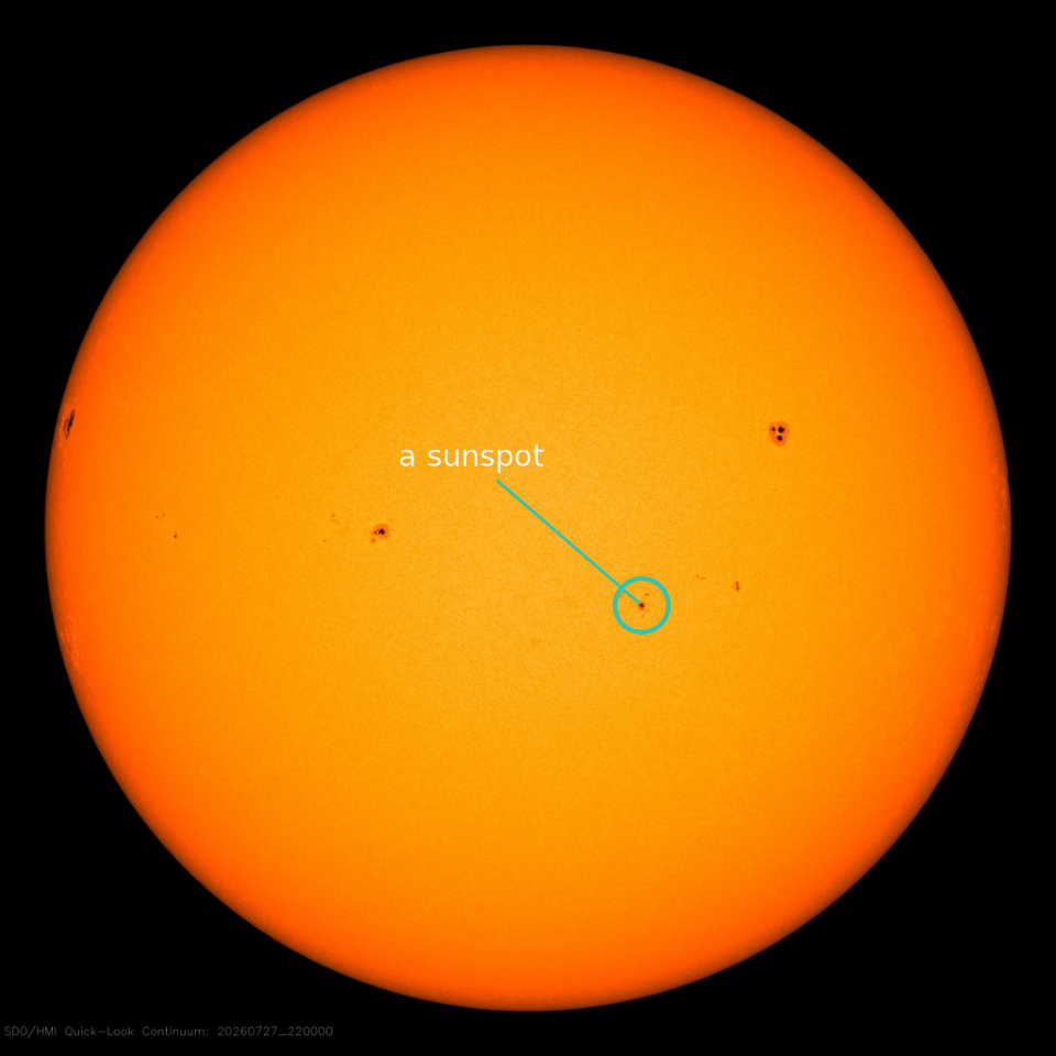 The Sun is a (very quiet) spotted rotator